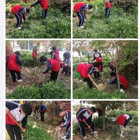 关爱学生幸福成长——时村营中心校劳动实践活动