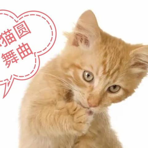 二年级口风琴《小猫圆舞曲》