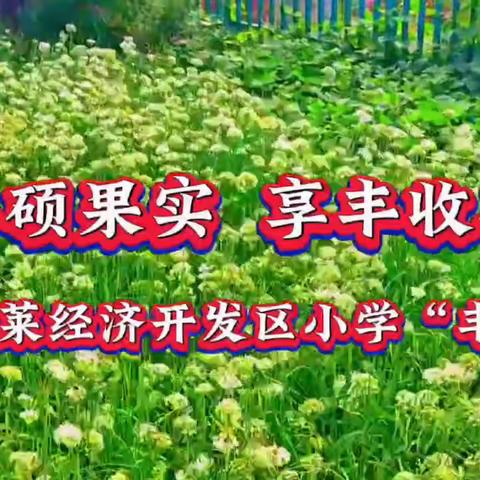 蓬莱经济开发区小学实践活动--丰收节