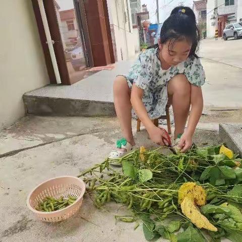 花好月圆迎中秋，勤劳共筑中国梦