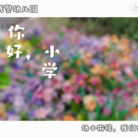 「幼小衔接」我们在行动！