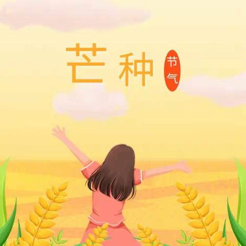 风吹麦浪芒种到——–扶风县第三幼儿园二十四节气之芒种