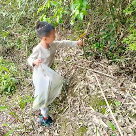 长岭幼儿园大班食育课之    “缤纷春卷”