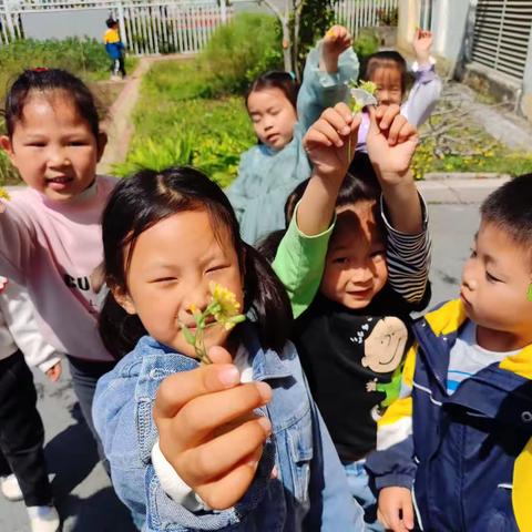 “啼莺春去，遇见立夏”——实幼中班组立夏节气活动