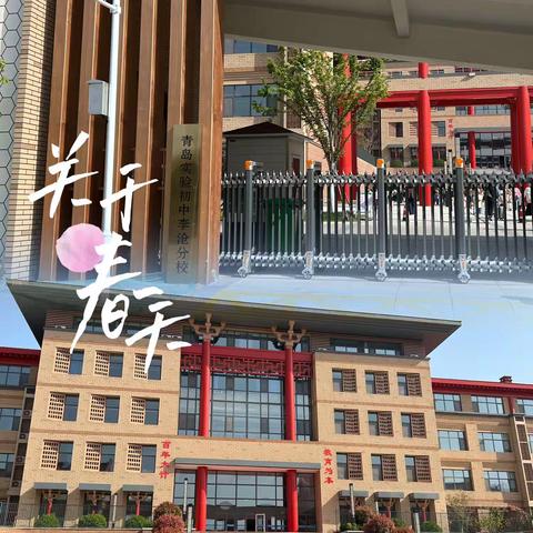 聚焦核心素养 唤醒阅读能力——宣化区阁西街小学赴青岛观摩中小学语文课堂教学改革研讨活动纪实