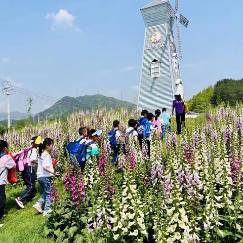 快乐于行，研学于心——绿杨乡鸡鸣小学研学实践活动纪实