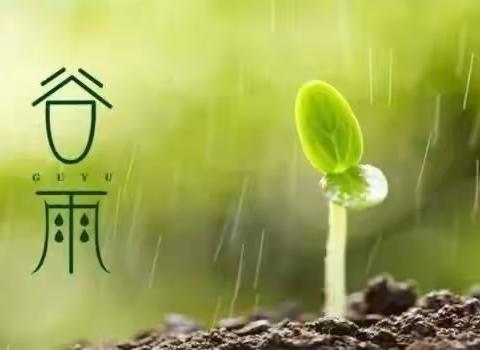 【暮春夏初 雨润百谷】石汪峪小学“谷雨节气”主题活动