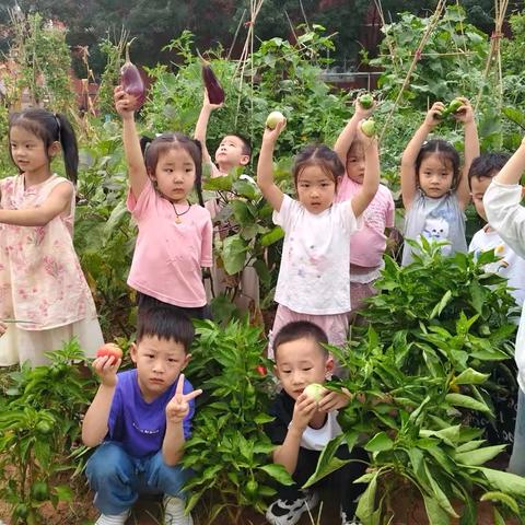 小芽芽成长记——友谊幼儿园小四班 农耕班本课程