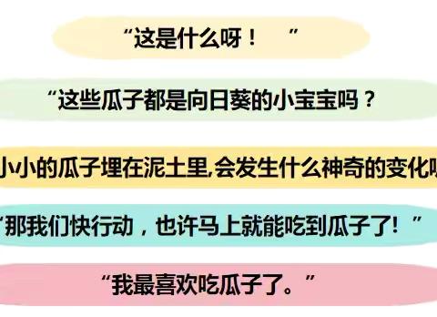 向阳而生 逐梦而行——友谊幼儿园小五班 农耕班本课程