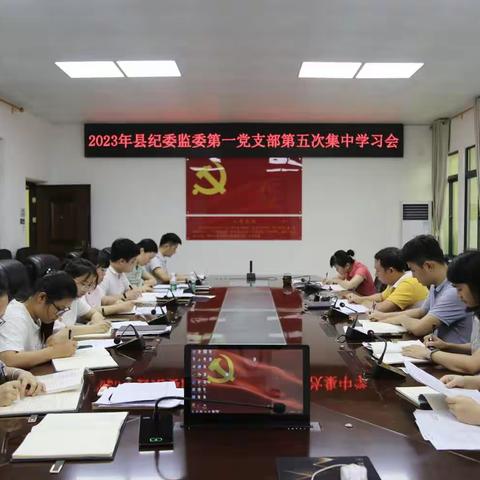 县纪委监委第一党支部召开2023年第五次集中学习会