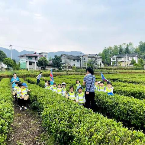 世纪方舟幼儿园 A2 班🌾“寻觅自然，乐享春耕”🌾活动