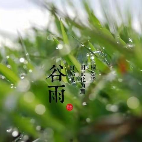 谷雨时节，润物无声——夏津县第二实验幼儿园中班级部“谷雨”节气活动