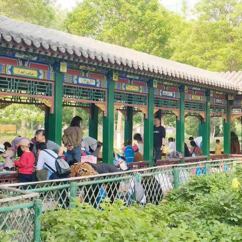 约“绘”风筝，放飞梦想——金月亮幼儿园风筝节活动