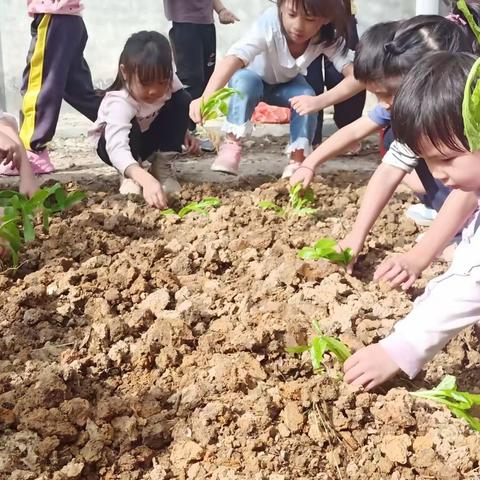 2023年致远幼儿园“五一劳动节”放假通知