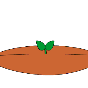 不负春光 播种希望 ——坦洲镇合胜小学举行“春耕”劳动实践活动