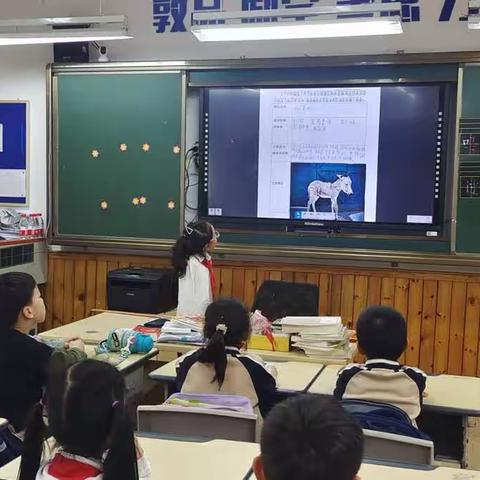 《母鸡的一生》项目化学习之动植物混合体