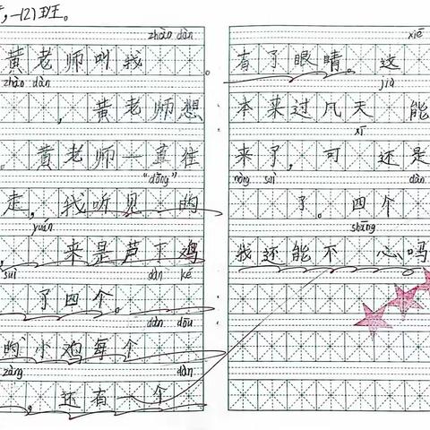 《母鸡的一生》项目化学习之“神来”之笔