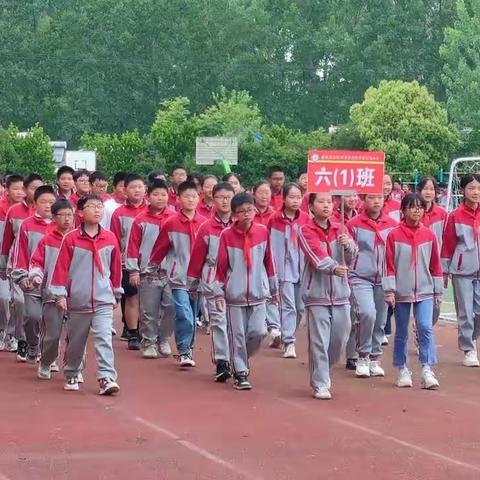 校园勤耕种   劳动润童心--明星路小学六（1）班学生劳动小记