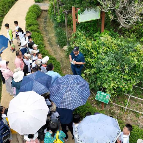 广西药用植物园科普研学活动