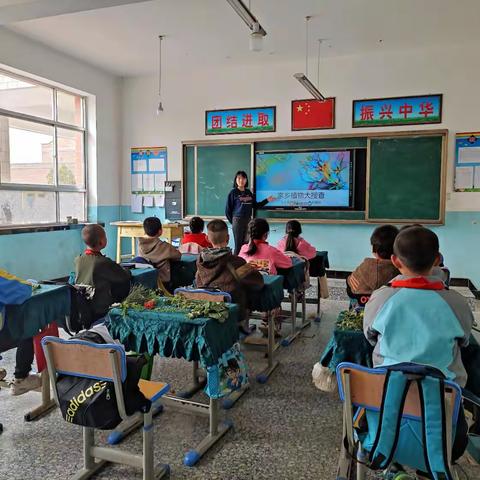 乡土系列课－家乡植物(正宁县湫头镇·明德小学·三年级)