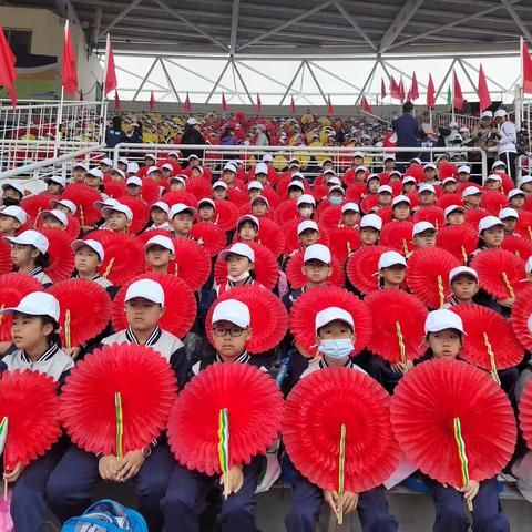 阳光开封，谁与争锋？——开封小学参加五十二赫行教育集团运动会纪实