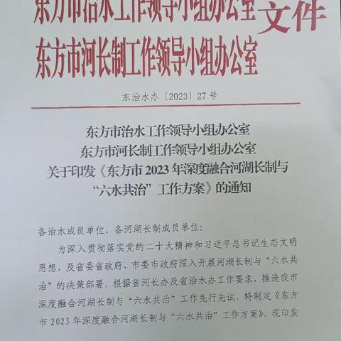 东方市深度融合河湖长制与“六水共治”取得成效