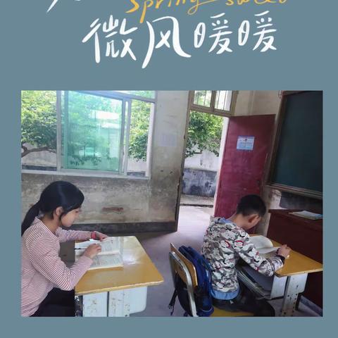 品名著神韵，诉心灵感悟  庙背小学六年级阅读