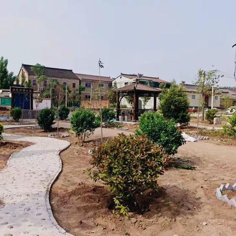 三阳乡：打造景观“小游园”，生态宜居“大提升”