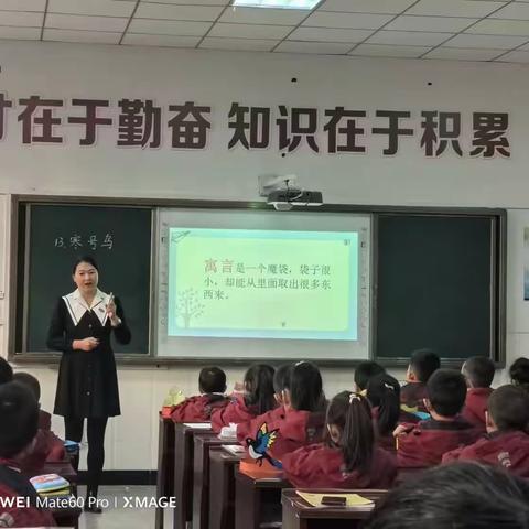 聚焦学习任务群  发展学生核心素养——大单元背景下的语文课堂教学研讨