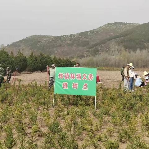 植绿筑梦正当时，青春献礼恰芳华——林镇林场开展义务植树活动