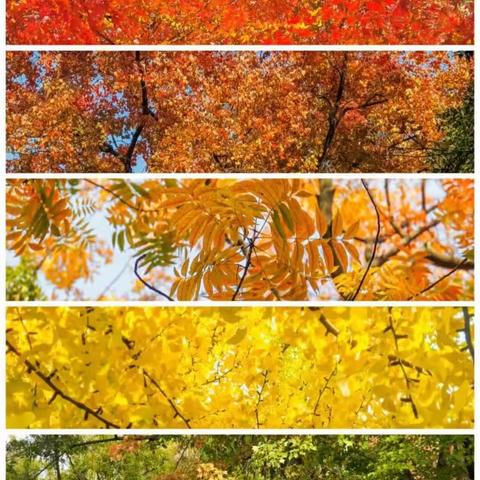 喀勒喀特村幼儿园小手拉大手，共推普通话“秋天的颜色”主题活动