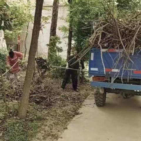 东升村4月19日人居环境提升整治