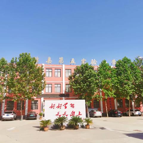 以常规抓教学，以检查促提升 —— 孟津区城关镇城东小学教学常规检查