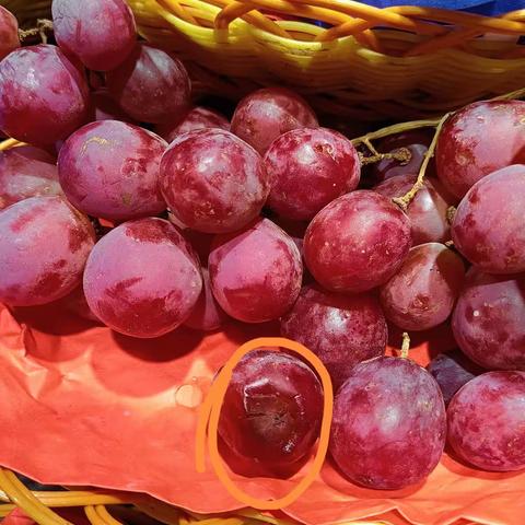 5.9号红提子，香蕉，蓝莓腐烂，户子缩水