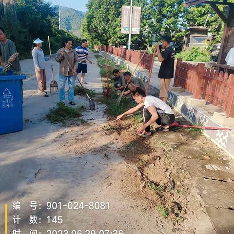 2023年6月29日老村组织党员两委干部正副队长公益性岗位开展人居环境卫生整治