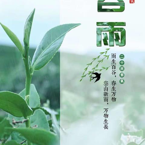 “谷雨润春物，节气润童心”浚县县直幼儿园（霄河路园）小班组谷雨节气活动