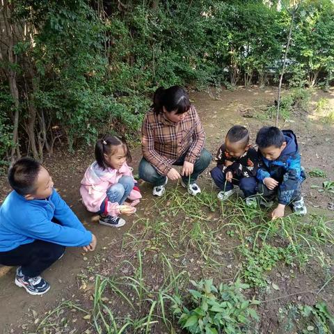 享秋耕之趣，悟劳动之美——桃峪口小学劳动教育之校内外实践基地篇