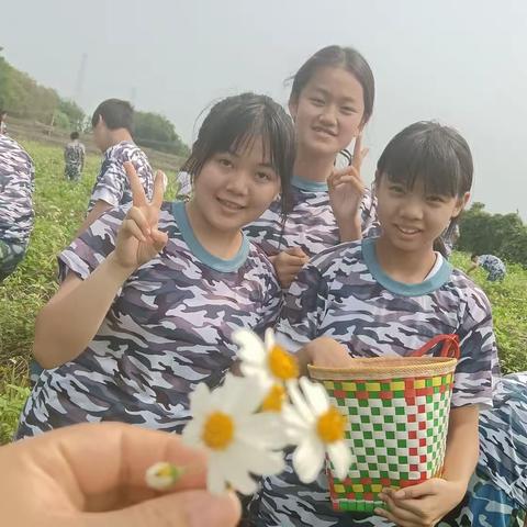 港湾中学初二农学第二天