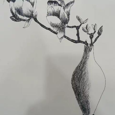 金典美术——张钰瑞同学作品集