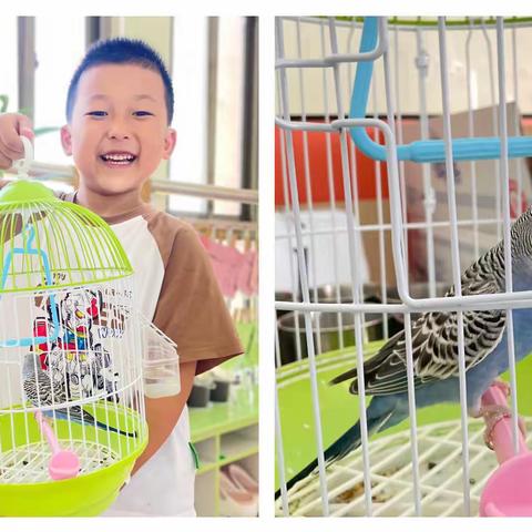 特别的“小客人”——罗庄区教育实验幼儿园中二班