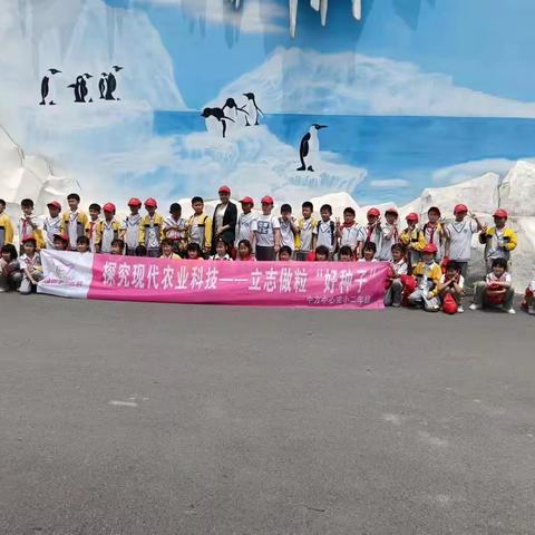 九丰农博园研学