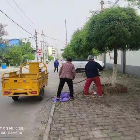 北干道街道办事处小杨庄村人居环境整治工作