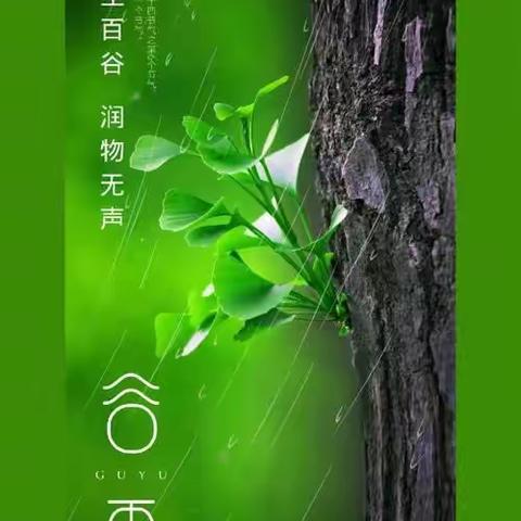 雨声百谷，润物无声——平罗县红瑞幼儿园节气教育之谷雨