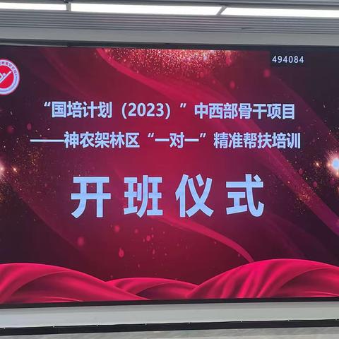 回归幼教 静待花开