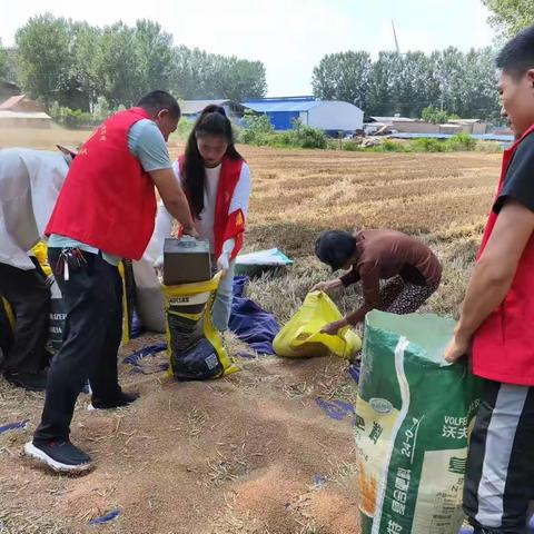 台陈镇：服务“三夏”解民忧 精准帮扶暖人心