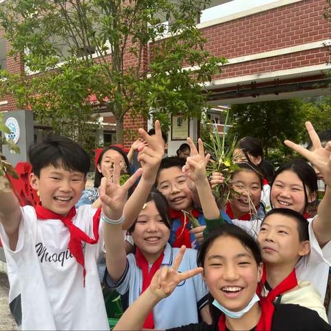 拔草护绿 劳动成长——六角亭高桥坝小学劳动实践课程之除草篇