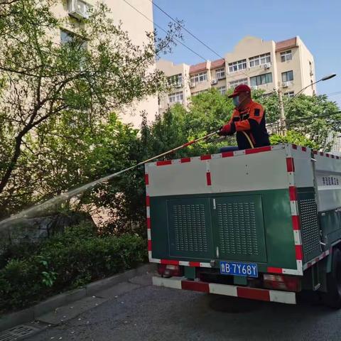 李沧区夏秋季蚊蝇消杀工作开始啦