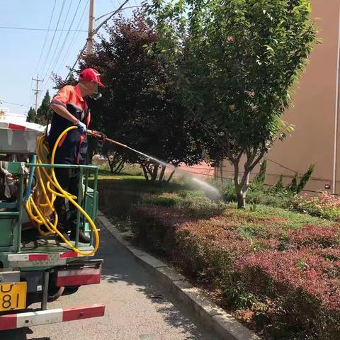 连环出击 消灭蚊蝇