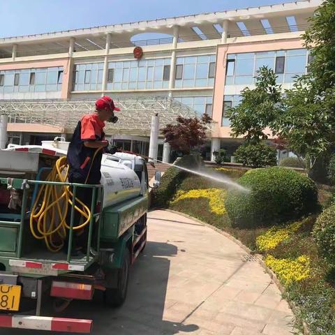 蚊蝇消杀，保障居民安心度夏