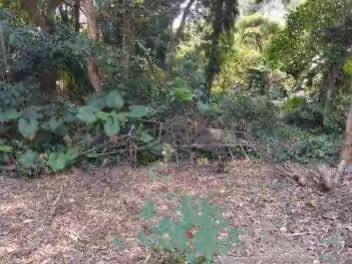 大致坡镇崇德村委会开展常态化人居环境卫生整治活动